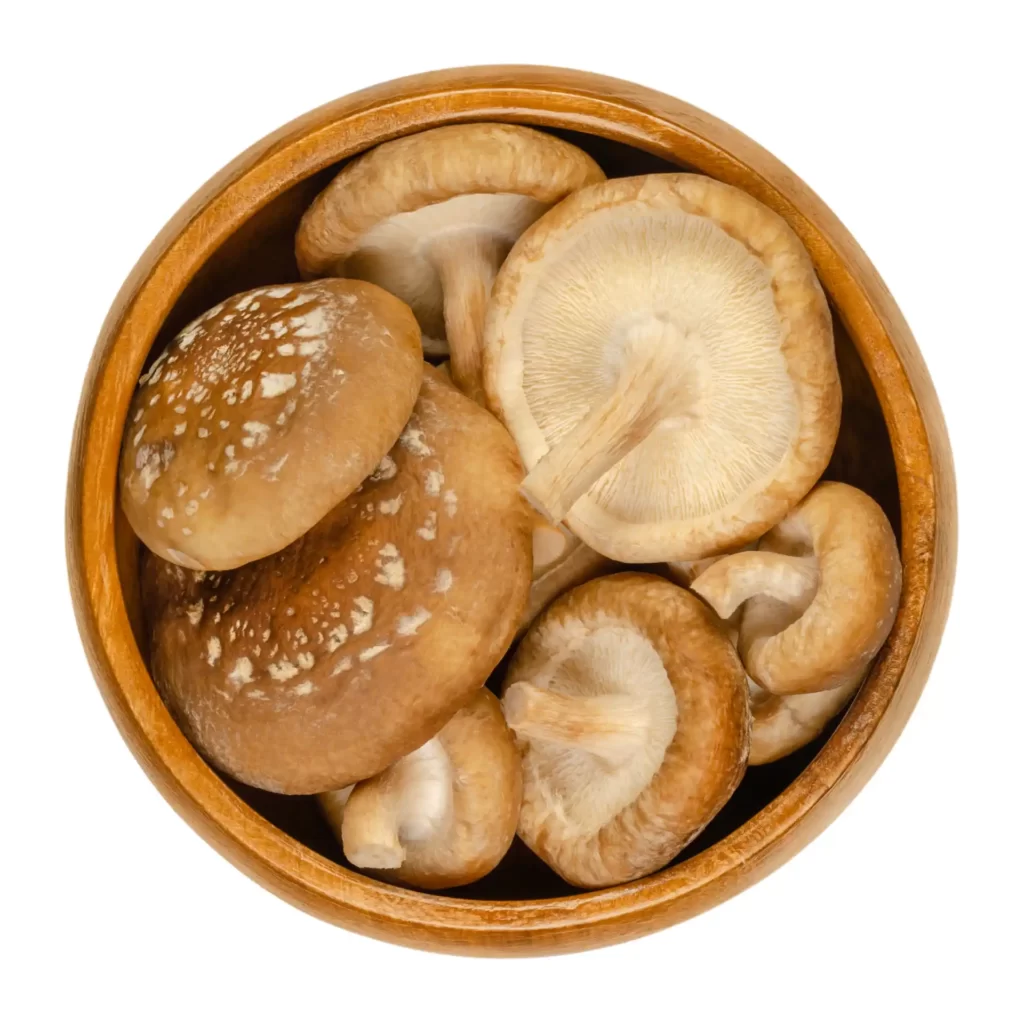 shiitake grybai manogrybai.lt