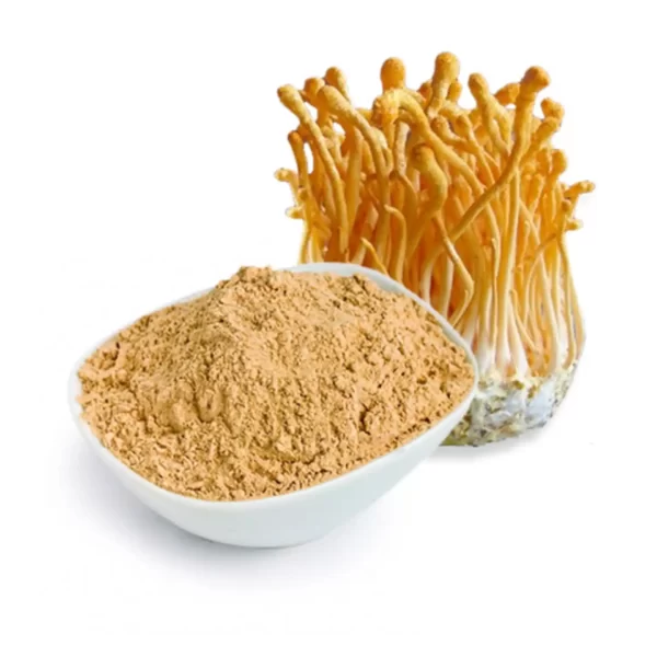 Kordicepsas (angl. cordyceps)